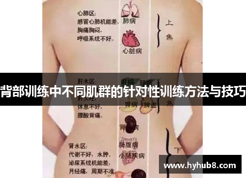 背部训练中不同肌群的针对性训练方法与技巧